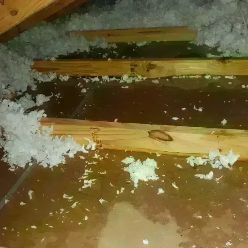 Attic Water Damage in Grand County, CO