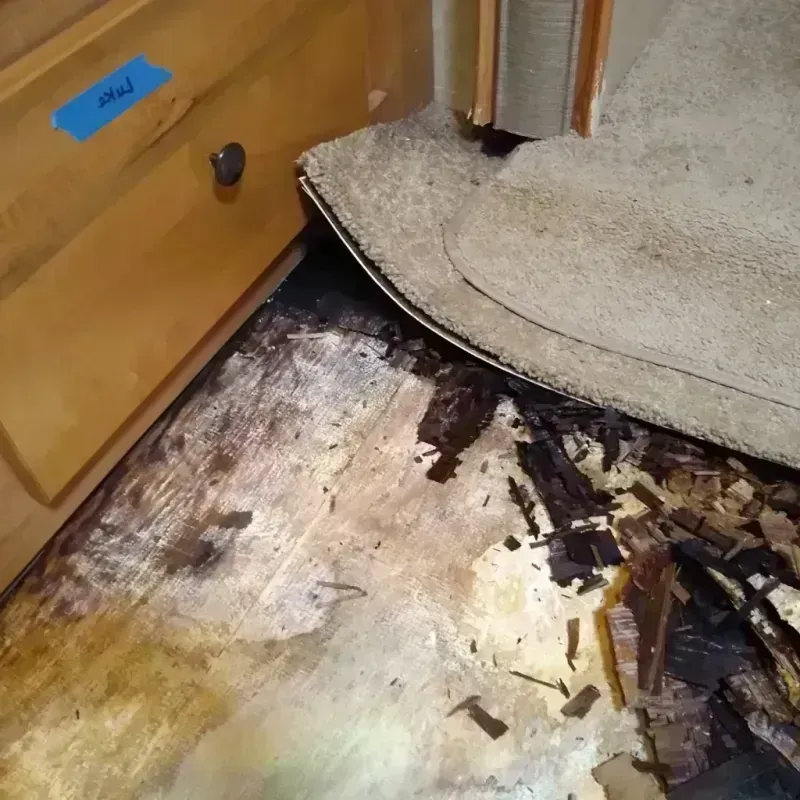 Wood Floor Water Damage in Grand County, CO